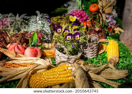 Autumn still life with flowers and corn