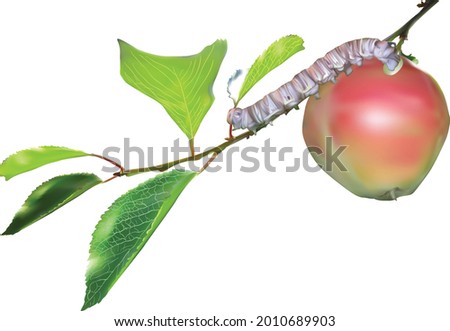 illustration with worm and apple isolated on white background