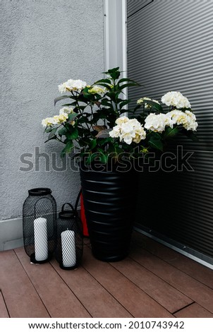 decoration with greenery on the terrace