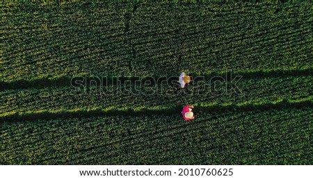 Top view of the two agronomists walking through the professional ecological field exterior. Vegetable farm and modern business concept. Stock photo, aerial