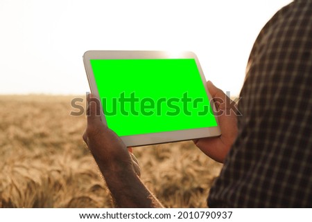 Close up of farmer's hands holding tablet with green screen in wheat field
