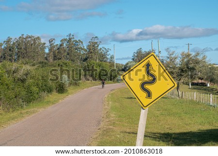 A curvy road sign along the road on a sunny day