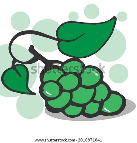 green grapes with leaf illustration on white background. green color circle. hand drawn vector. fresh and shiny. seasonal fruit. sweet taste. doodle art for wallpaper, poster, wall decoration, logo. 