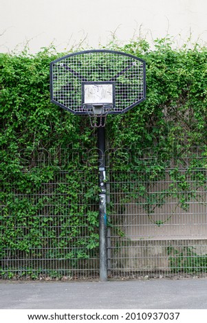A vertical shot of a basketball hoop against crawling plants on a wall in a playground