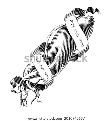 Ginseng logo with banner hand draw vintage engraving style black and white clip art isolated on white background
