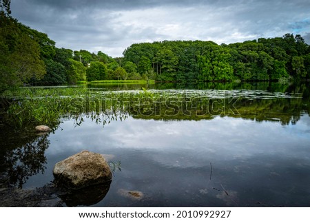 Tranquil green forest over the pond. Lake landscape with rocks and water vegetations. Mirrorlike reflections on the clean water.