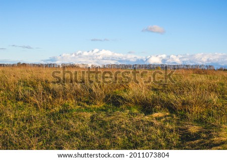 Dry grass, overgrown ground, after winter without harvesting. Abandoned agricultural fields. Royalty-Free Stock Photo #2011073804