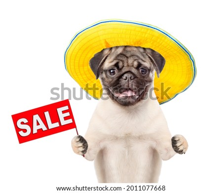 Pug puppy wearing summer hat holds sales symbol. isolated on white background