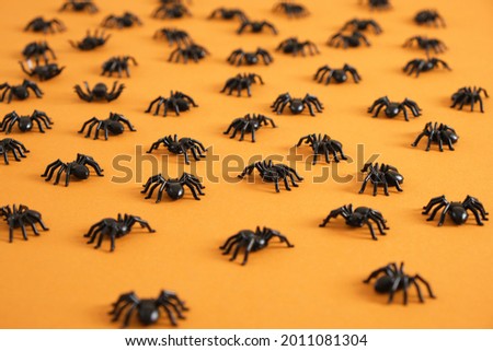 Pattern from black plastic spiders on orange background. Halloween. Trick-or-treat concept. Top view. Happy Halloween