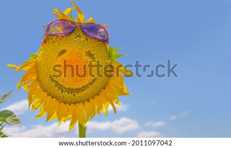 Smiling sunflower with sunglasses isolated on sky background as concept of healthy lifestyle and proper nutrition for positive promotional banner, label, greeting card, invitation, sticker, etc.