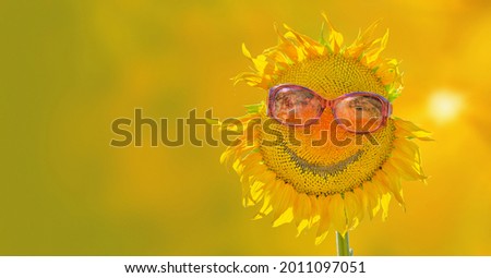 Smile on sunflower with sunglasses isolated on summer background as concept of healthy lifestyle and proper nutrition for positive banner, label, greeting card, invitation, sticker, etc.