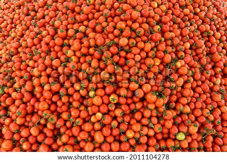 Fresh red tomatoes at stock 
