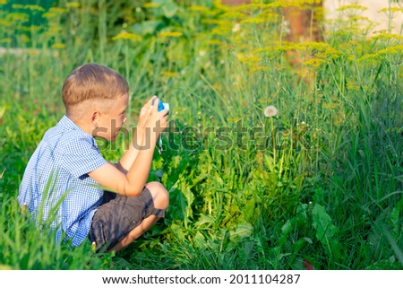 A cute preschool boy with a neat hairstyle in a blue shirt takes pictures of green plants on a hot summer day. Selective focus. Portrait