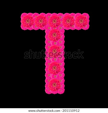 Alphabet zinnia daisy isolated on back background