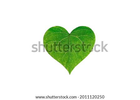 Green leave are laid out in the shape of a heart on a white isolated background. The concept of love for nature. Eco concept, nature and ecology protection. selective focus. copy space. top view.  Royalty-Free Stock Photo #2011120250
