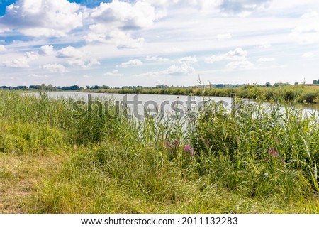The shores of a small steppe lake are densely overgrown with tall grass. A path is laid to the shore through the grass.