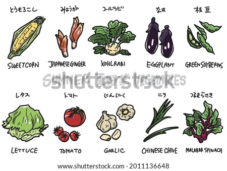 Illustration of corn, japanese ginger, kohlrabi, eggplant, green soyberns, lettuce, tomato, garlic, chinese chive, malabar spinach Royalty-Free Stock Photo #2011136648