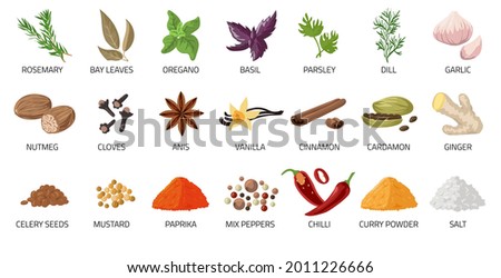 Cartoon spices. Food and dishes seasoning. Dry condiment. Chilli pepper and anise. Ginger root. Cardamom or curry powder. Oregano and basil. Vector salt or spicy cooking ingredient set Royalty-Free Stock Photo #2011226666