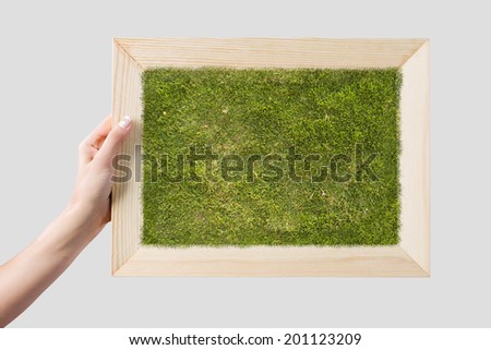Close up of hand holding frame with green grass