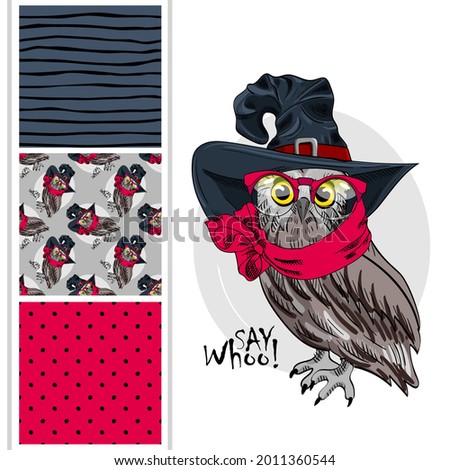 Set of vector seamless patterns and  illustration of owl with magic hat and red scarf. Hand drawn illustration of owl with red glasses.
  