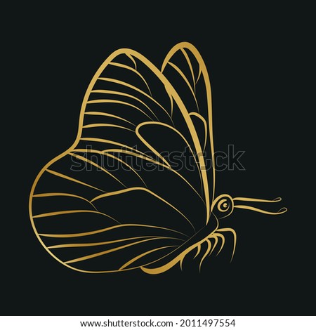 Elegant Outline butterfly on white background.