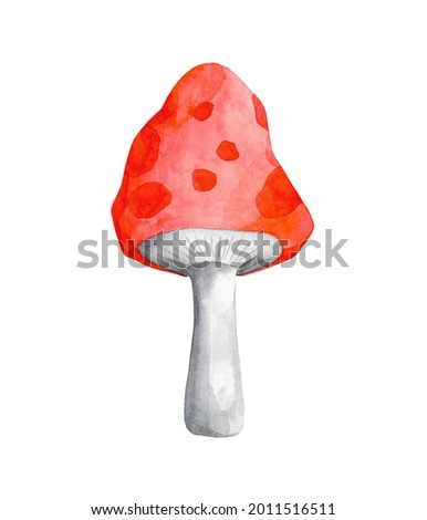 Watercolor red amanita clip art isolated on white background. Toadstool hand drawn illustration. Spotted mushroom design element.