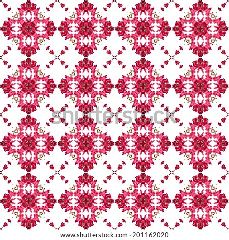 red orchid flowers pattern.  Isolated on white background