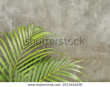 Background or nature  and green leaves​