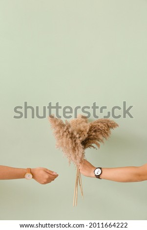 Female hands with watches and floral decor on color background
