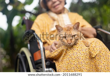 Elderly woman holding ginger cat on wheelchair in backyard