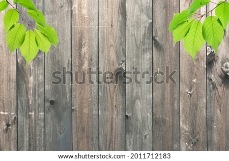 Background material of wood grain and ivy.