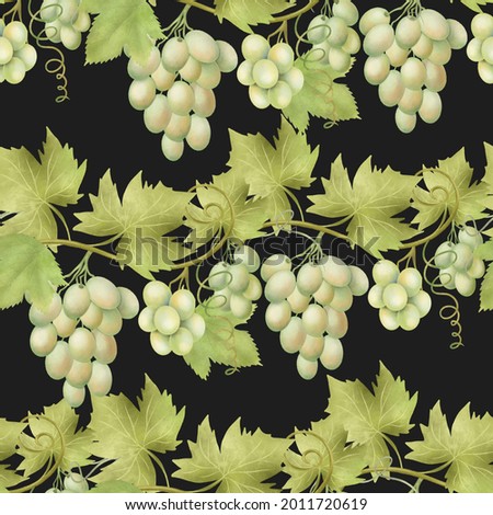 Seamless pattern of green grape vines, hand drawn illustration on dark background