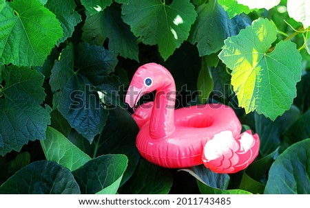 Flamingo, inflatable holder on the tropical plants background. Summer vibes. Vacation or pool party concept, minimalism style.