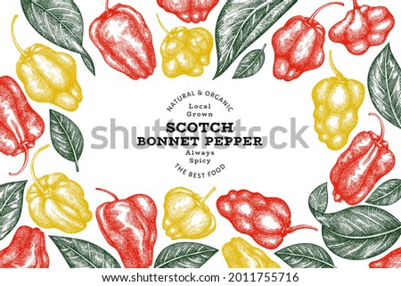 Hand drawn sketch style scotch bonnet pepper banner. Organic fresh vegetable vector illustration. Retro cayenne pepper design template