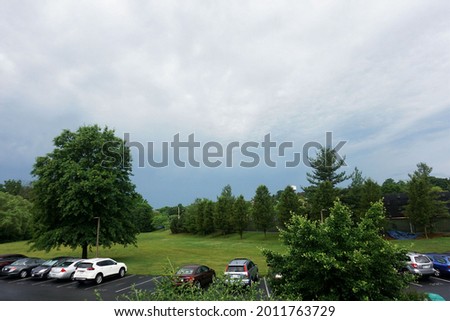 rain has come to a parking lot full of cars next to a large grass area with a tall tree and a forest in the background