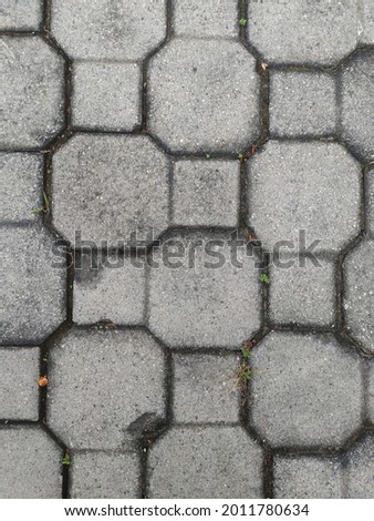 Decorative stone floor bricks in the yard.