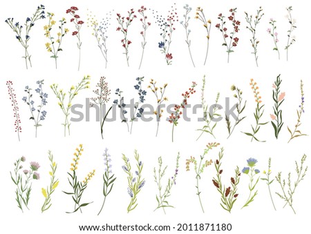 Big set botanic blossom floral elements. Branches, leaves, herbs, wild plants, flowers. Garden, meadow, field collection leaf, foliage, branches. Bloom vector illustration isolated on white background Royalty-Free Stock Photo #2011871180