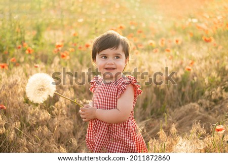 cute baby girl in red dress holding large dandelion on field of poppies at summer sunset.