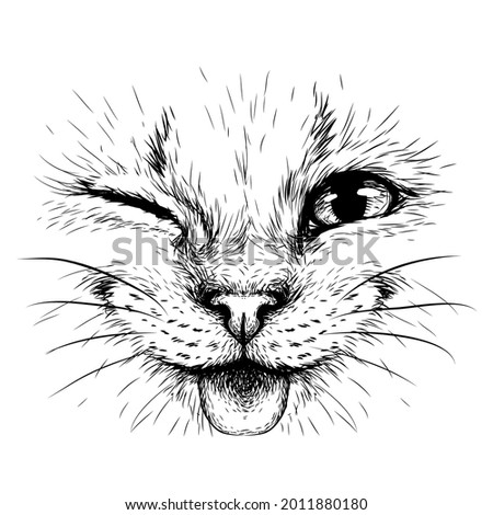 Funny Cat. Creative design. Graphic portrait of a smiles cat in close-up on a white background. Digital vector graphics.