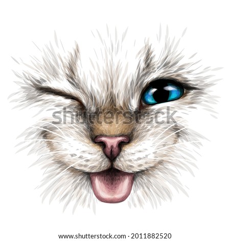 Funny Cat. Creative design. Color portrait of a smiling cat with blue eyes close-up on a white background. Digital vector graphics