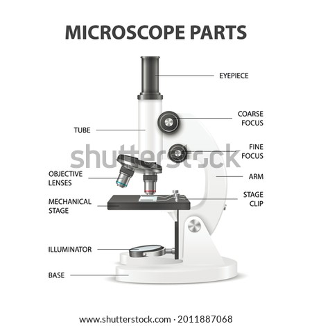 Microscope Parts. Vector 3d Realistic White Laboratory Microscope Isolated on White. Chemistry, Biology Tool. Science, Lab, Research, Education Infographics. Design Template. Front View