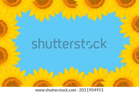 sunflowers arranged like a frame, a creative idea, a place to write a message