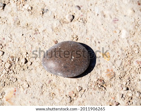 One smooth stone lies on the sand. Brown pebbles close - up view from above.