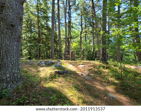 Deep into the woods and up a steep rocky hilly, is a brick and stone fire pit that's falling apart. The bricks are breaking off and falling to the ground.  Royalty-Free Stock Photo #2011913537