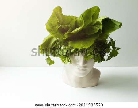 Head-shaped vase with lettuce and parsley. The concept of healthy eating and healthy thinking. Vegan food concept. Royalty-Free Stock Photo #2011933520