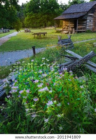 Summer flowers are in bloom in front of a rustic log cabin 