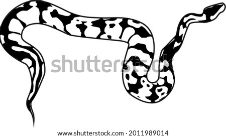 a silhouette vector illustration of a python.