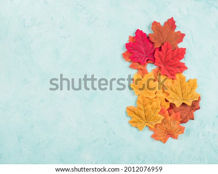 Red and yellow autumn maple leaves on turquoise background. Seasonal fall background