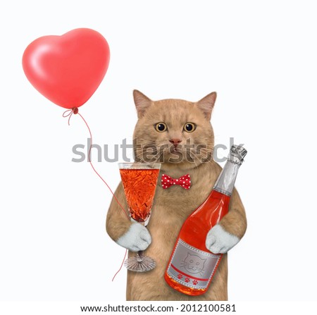 A reddish cat holds a bottle of red wine and a full glass of wine. White background. Isolated.