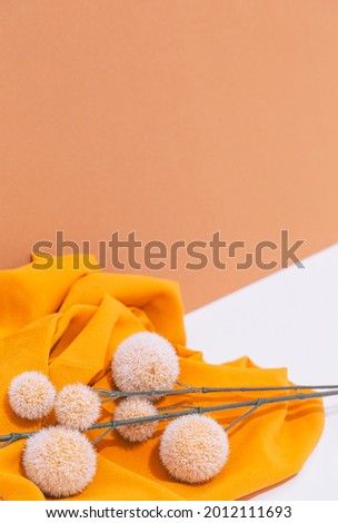 Fall Winter minimalist background Autumn brunch decor and fabric. Trendy brown yelow beige colors shades.  Still life aesthetic wallpaper